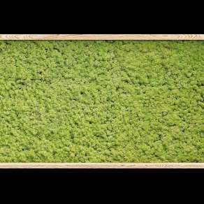 现代绿植墙3D模型下载